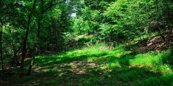 Image 3: 4825 Gann Store Rd, Hixson TN