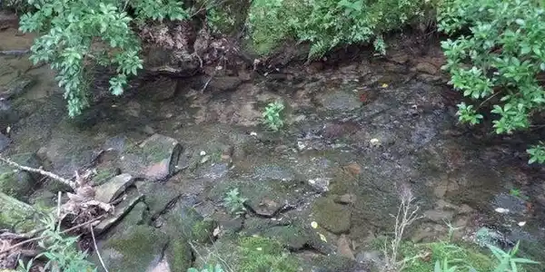 Image 2: creek