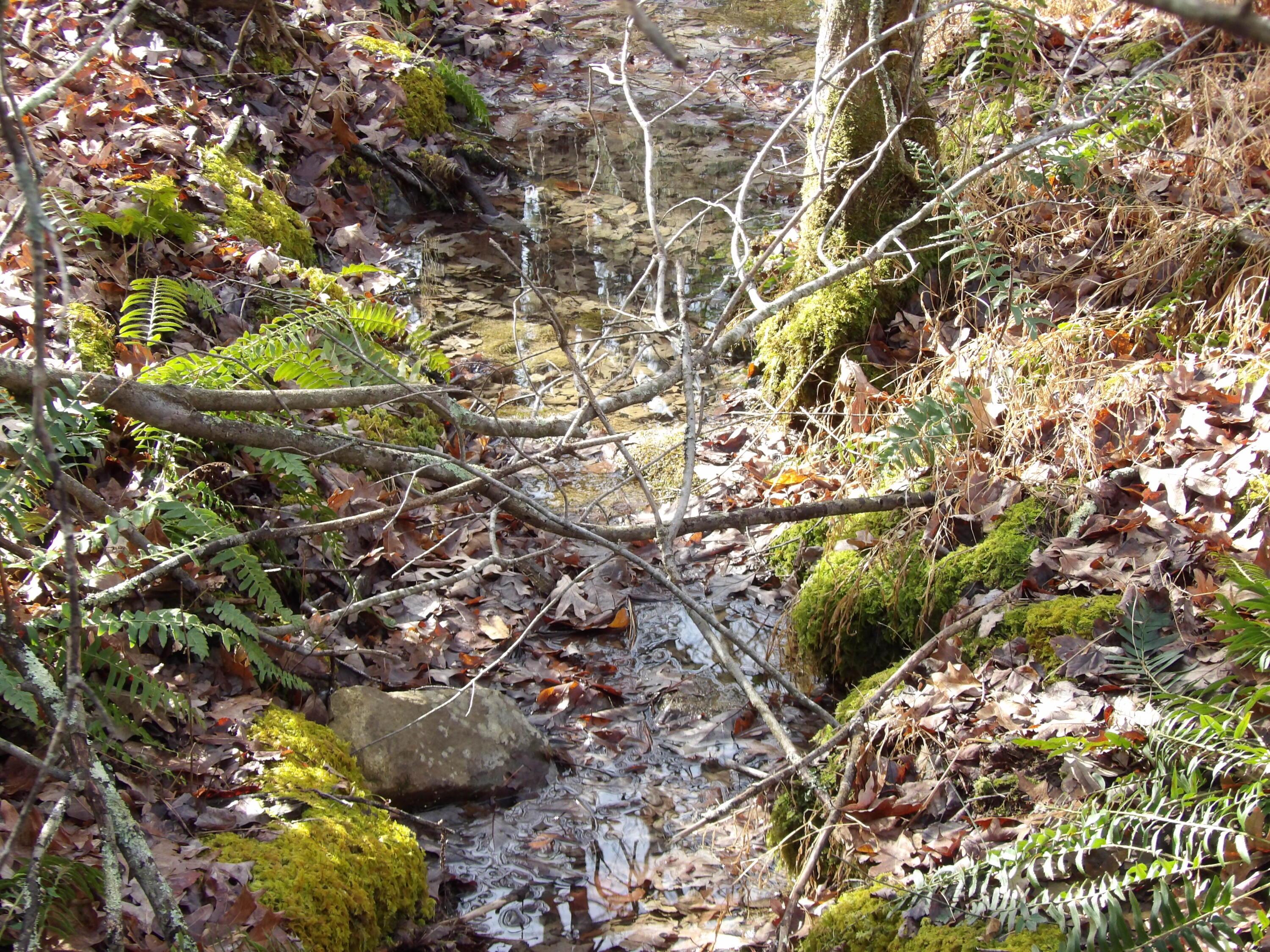 Image 3: 100_2146