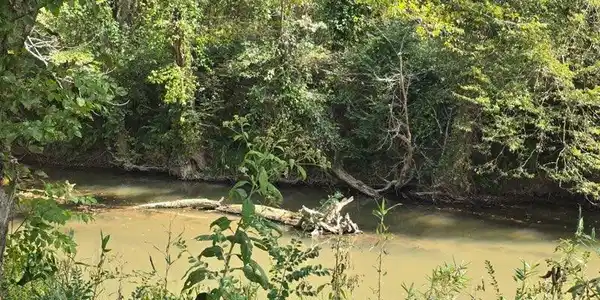 Image 4: 3