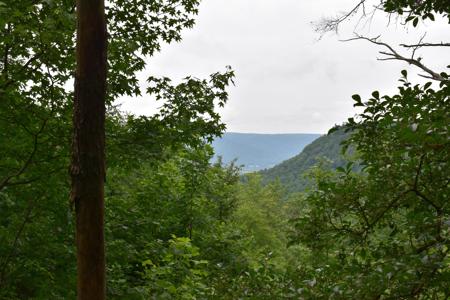 0 Pine Knot Pass