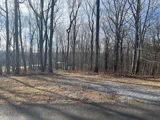 Image 3: IMG_3604 (2)