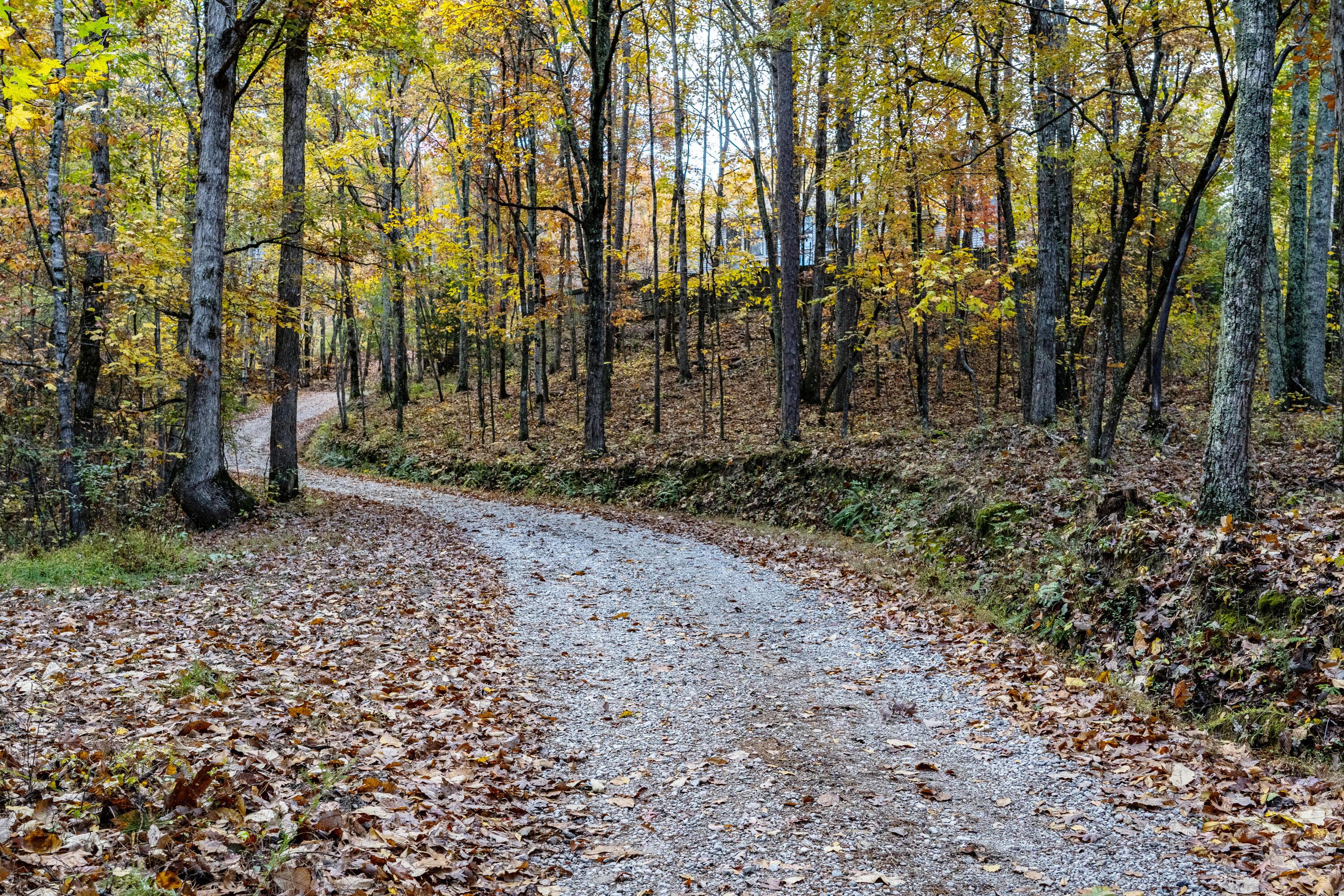 Image 3: Driveway