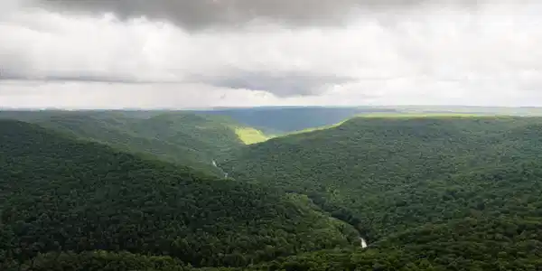 Image 3: TennTim - 3