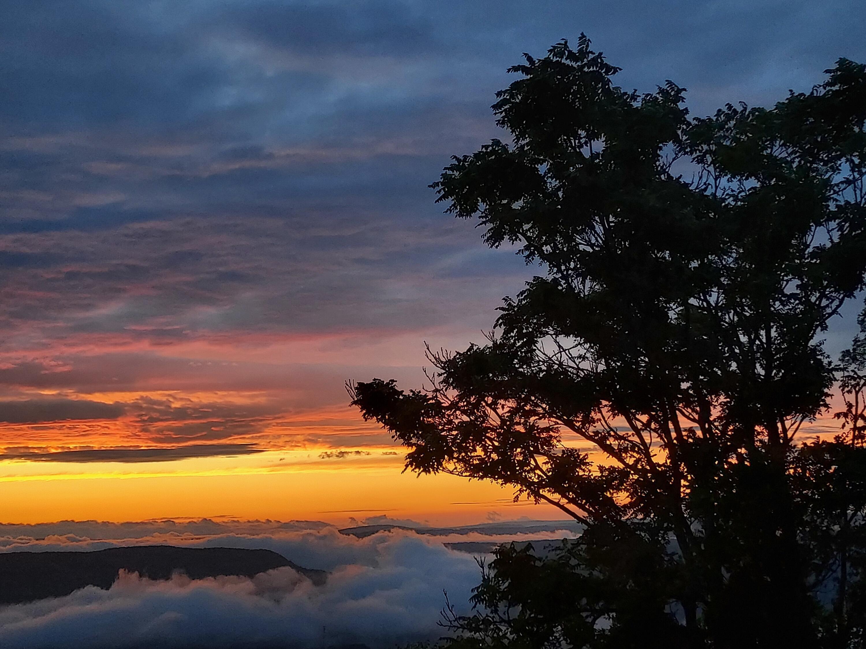 Image 3: taff sunset