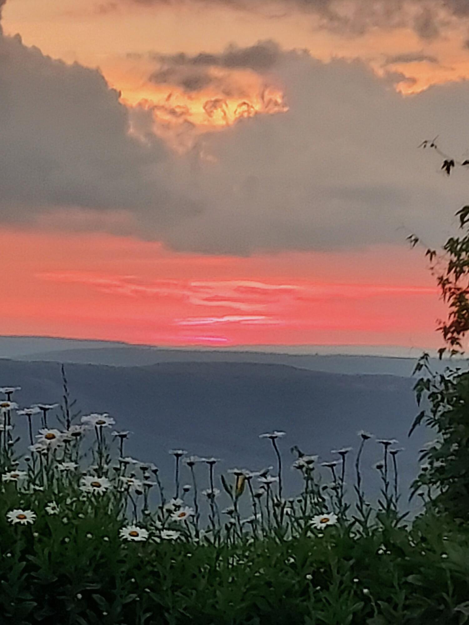 Image 4: taff sunset 3