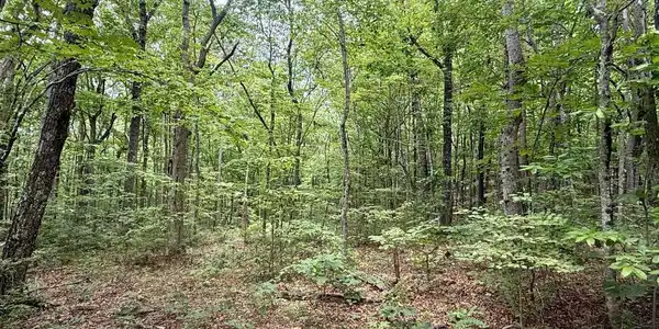 Image 2: 2