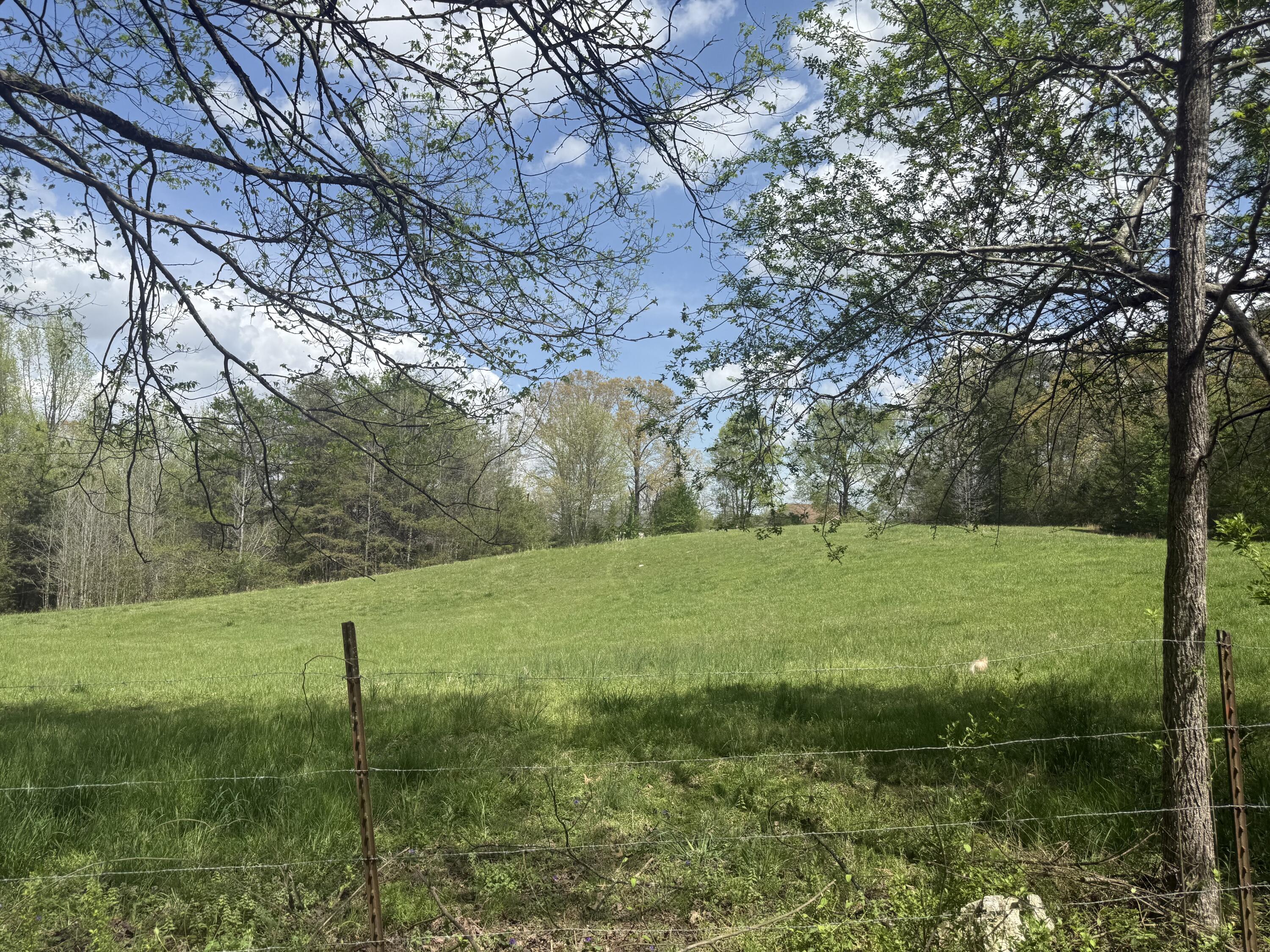 Image 2: IMG_1373