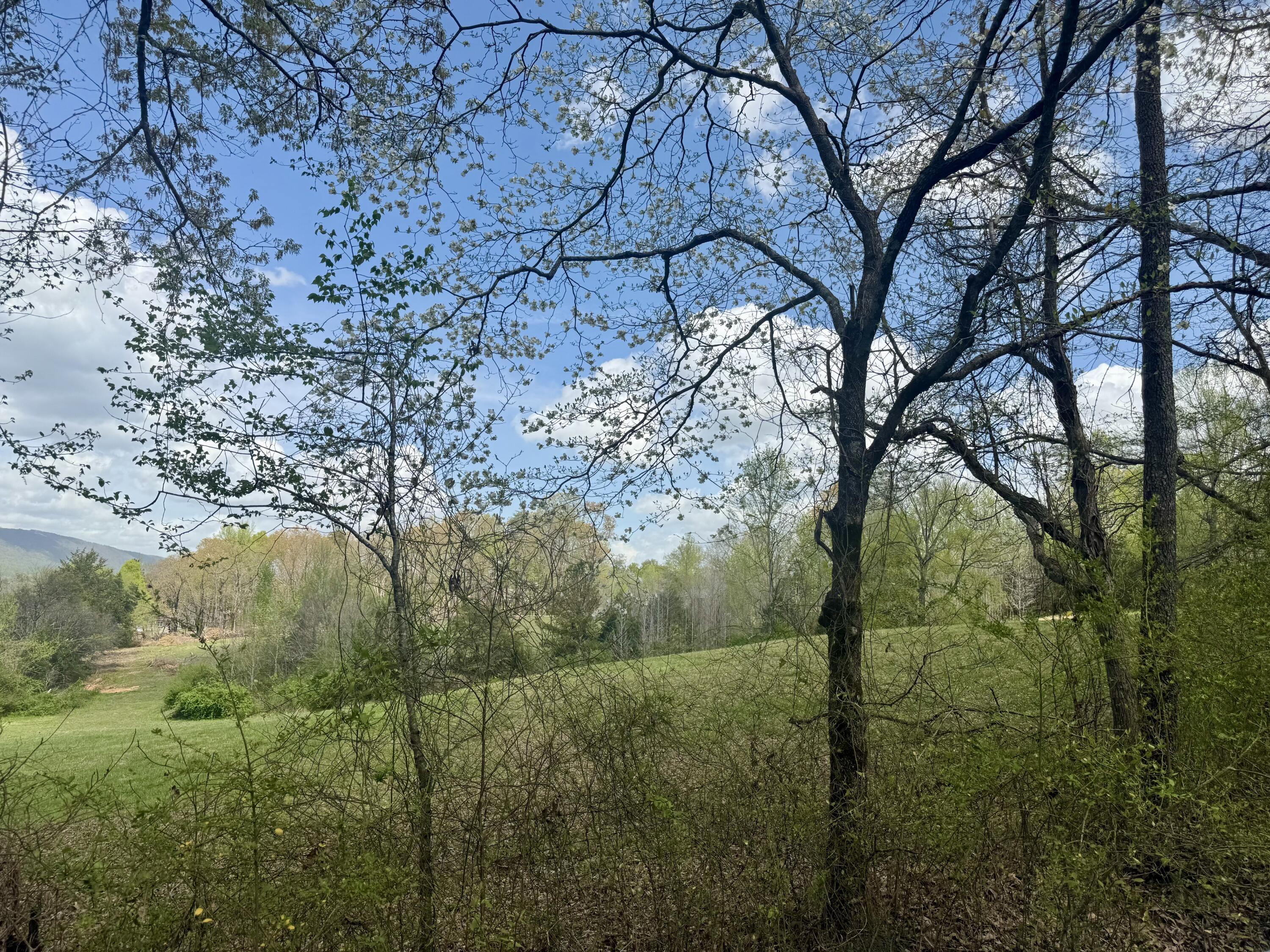 Image 3: IMG_1383