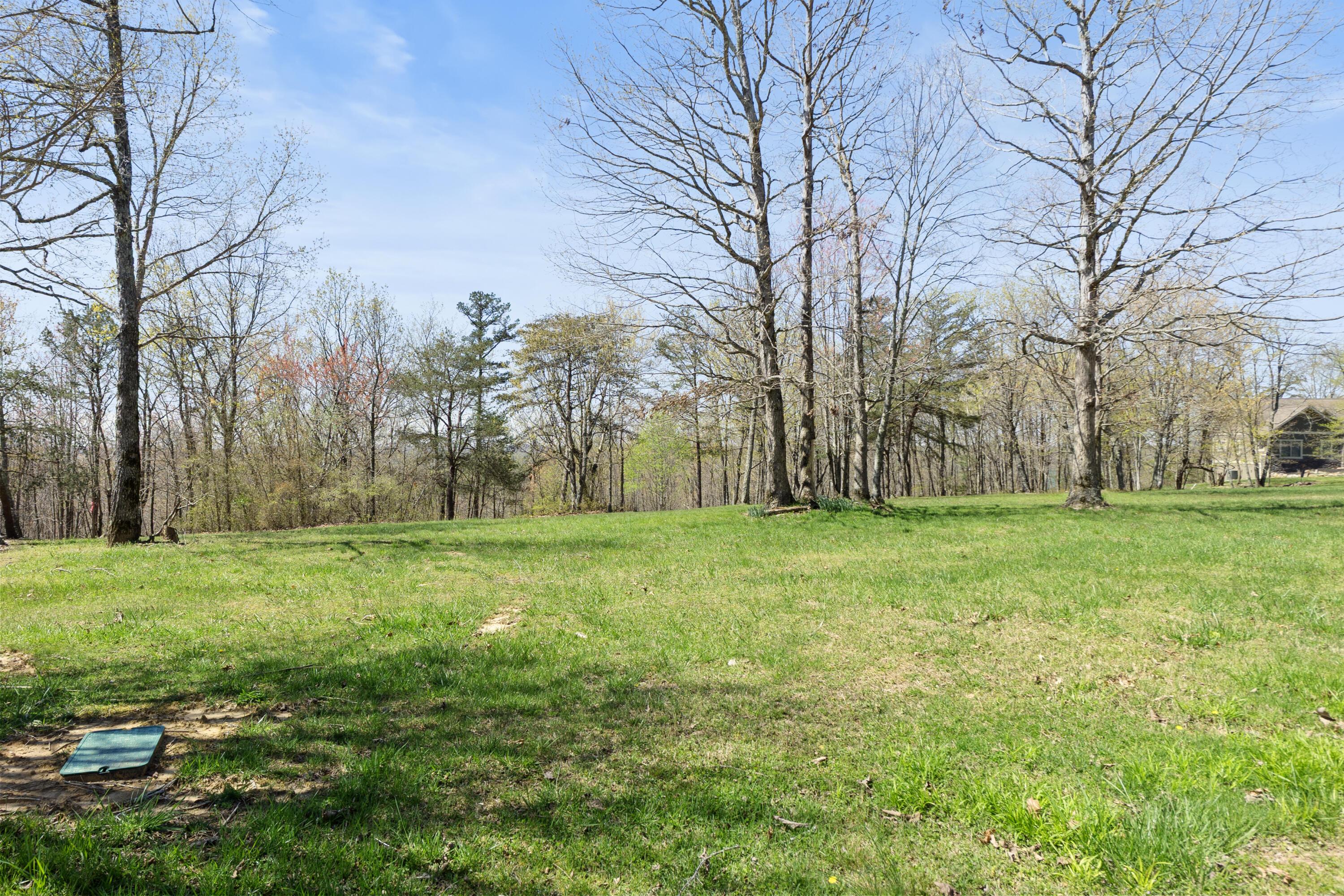 Image 3: _DSC1889