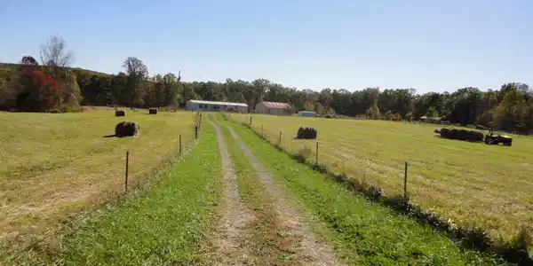 305 Deerhead Road