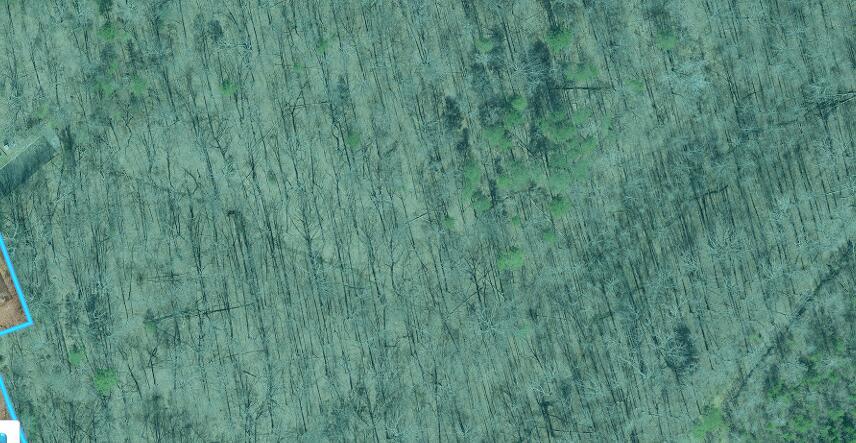 Image 4: Screenshot 2025-01-30 183847
