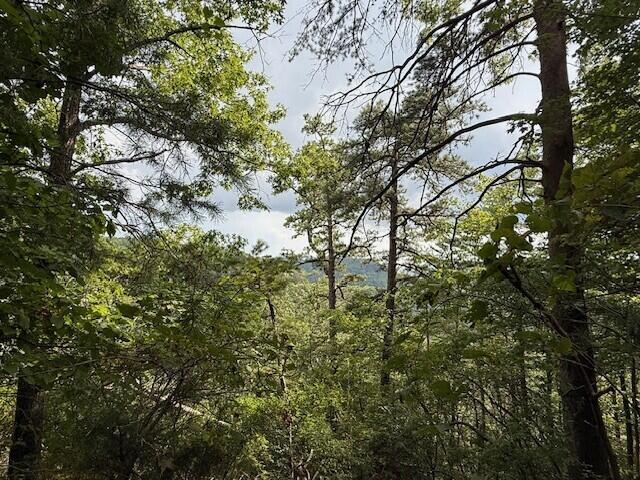 Image 2: 12