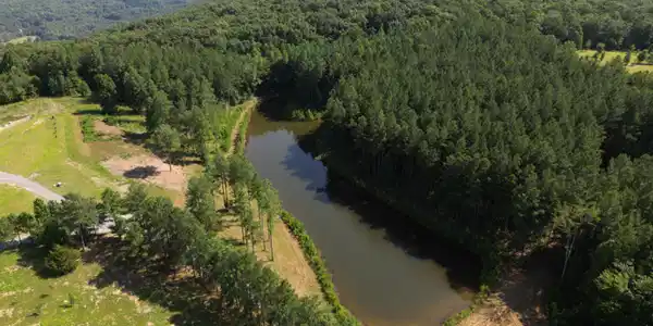 Image 2: Aerial