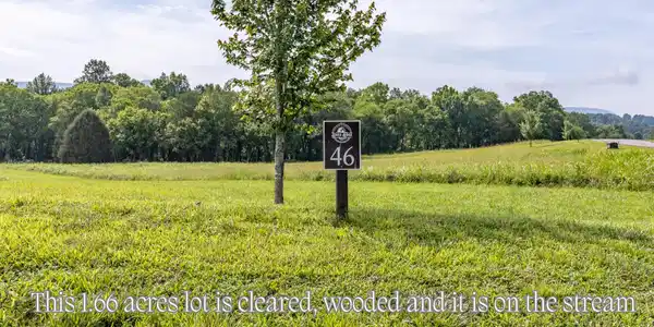 Image 2: Cleared wooded lot