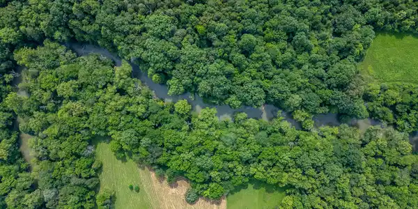 Image 4: Serene river views among trees