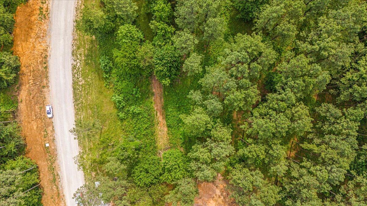 Image 4: 04-DJI_20250611094307_0034_D