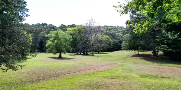 25.09 Acres Byrds Chapel Drive