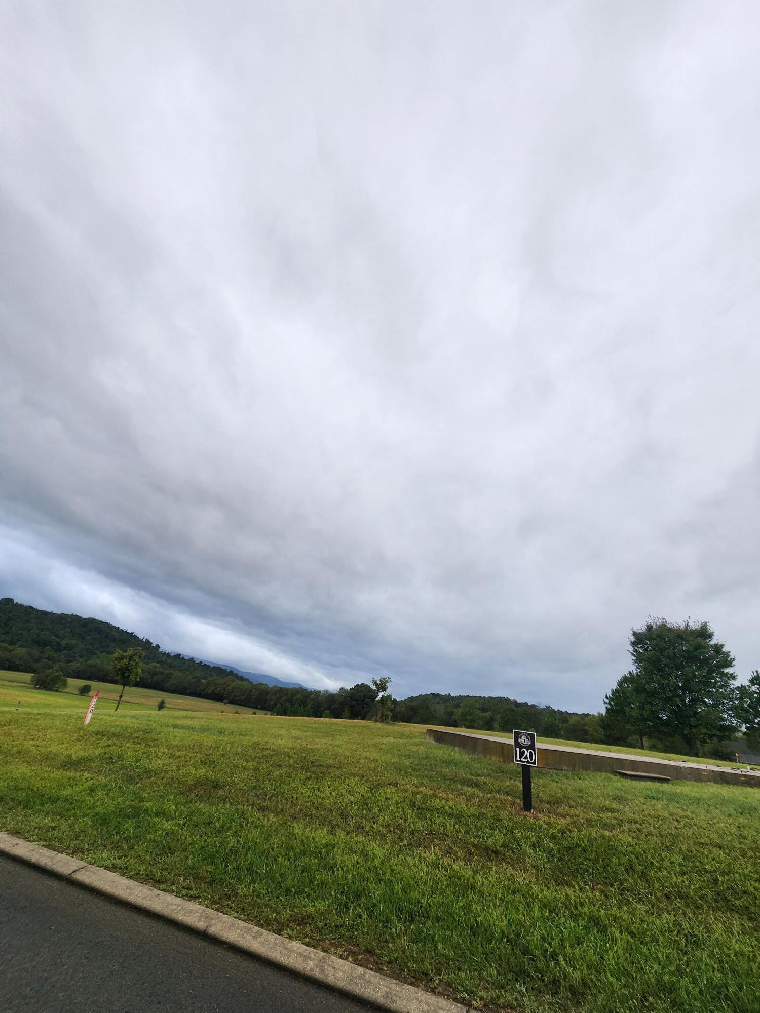 Image 1: Lot 120 (2)