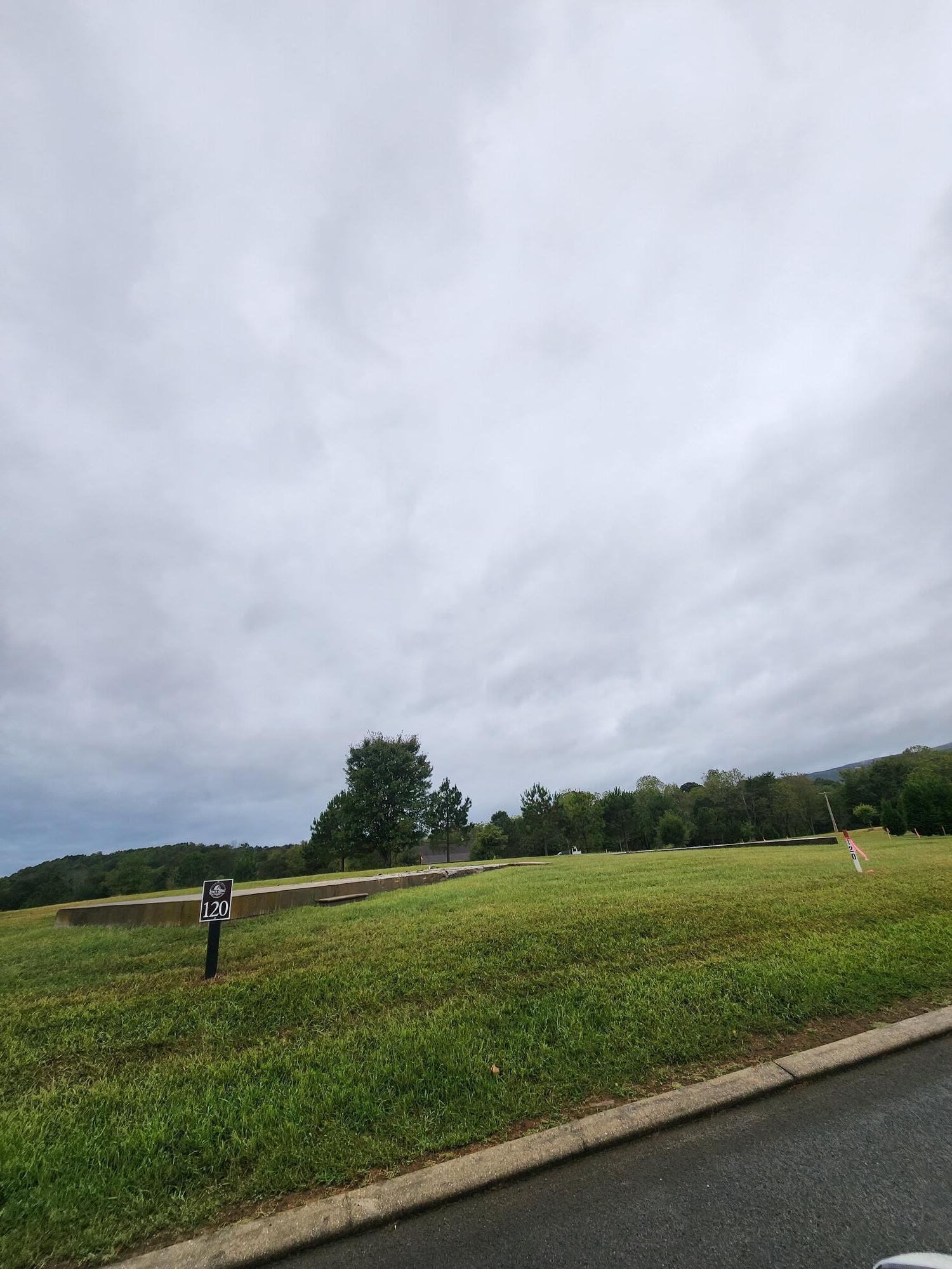 Image 2: Lot 120