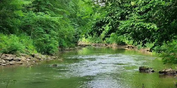 Image 4: 2 River