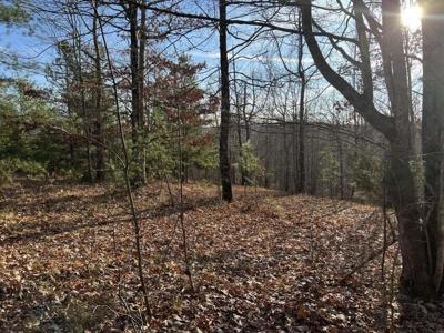 0 Log Cabin Lane