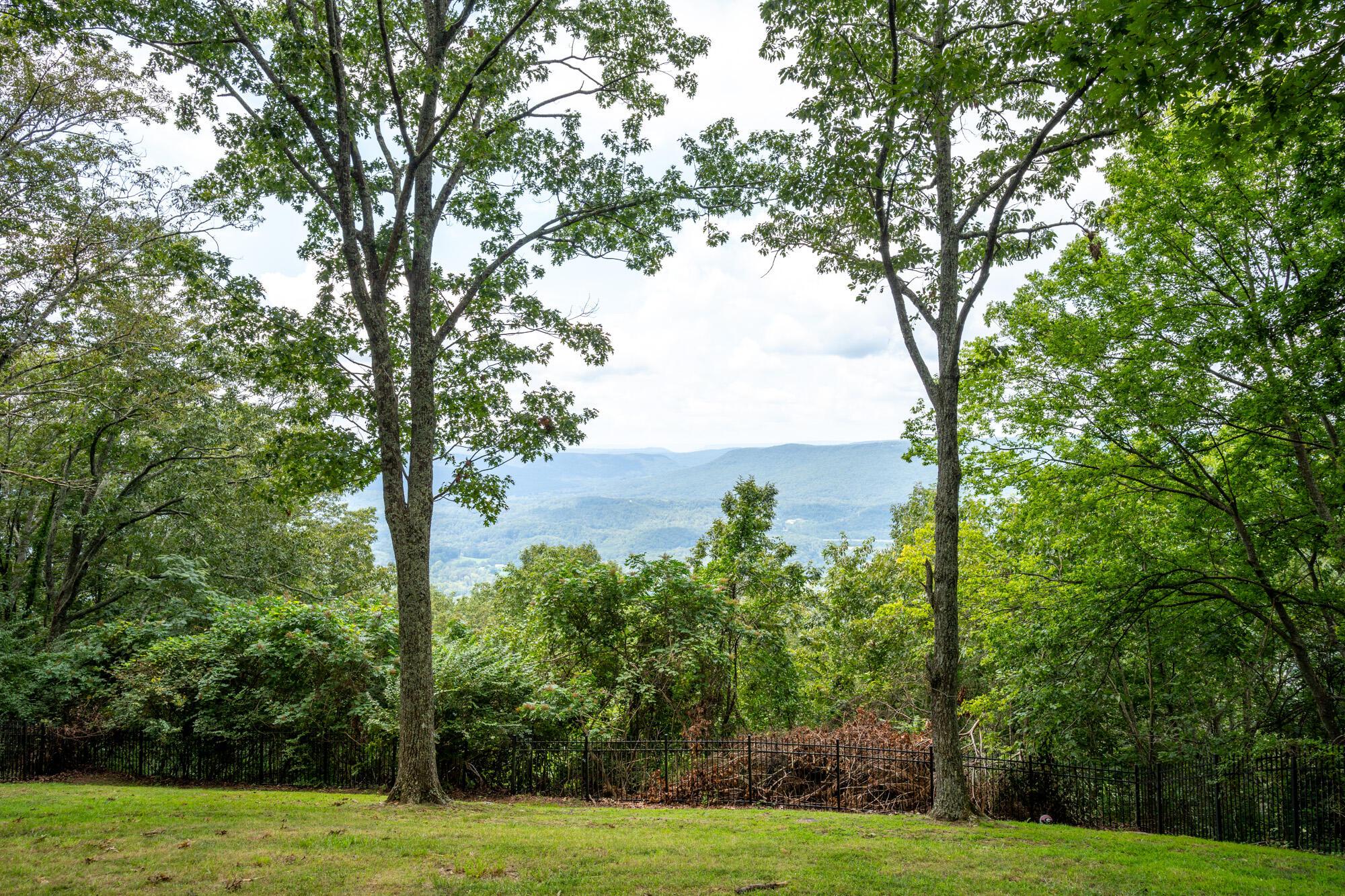 Image 1: View From Home