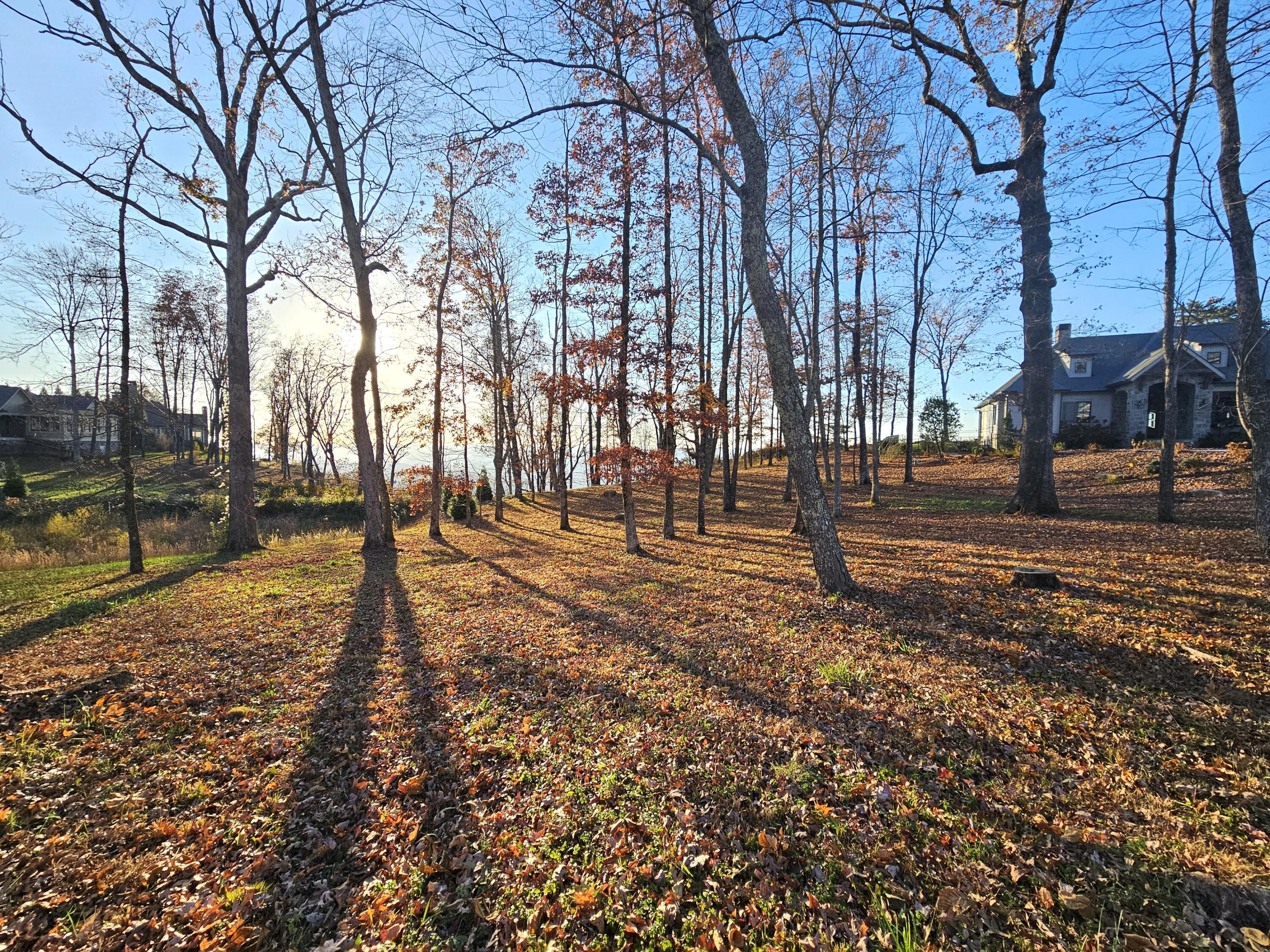 Image 2: Lot from front