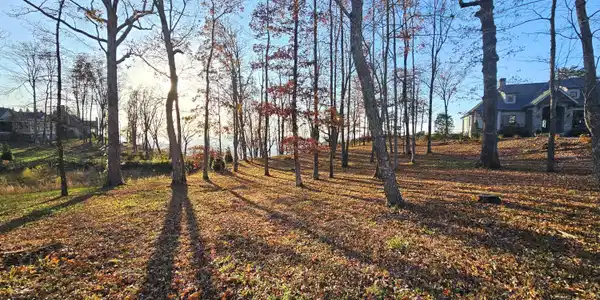 Image 2: Lot from front