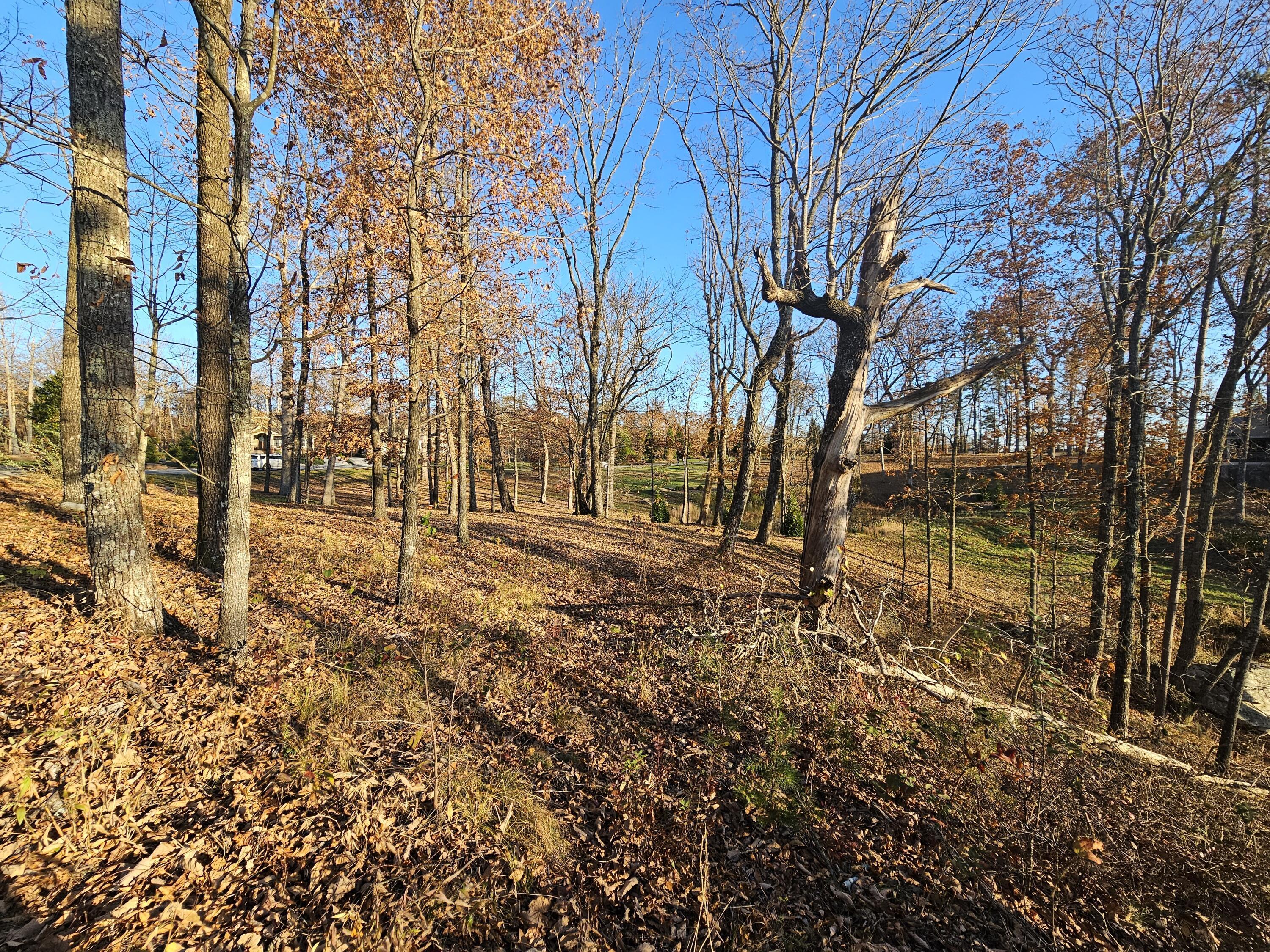 Image 3: Lot from back