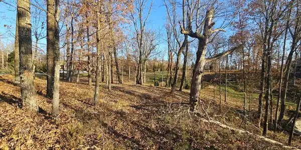 Image 3: Lot from back