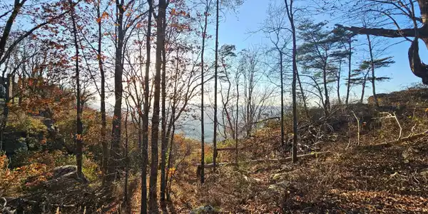 Image 4: Lot view 2