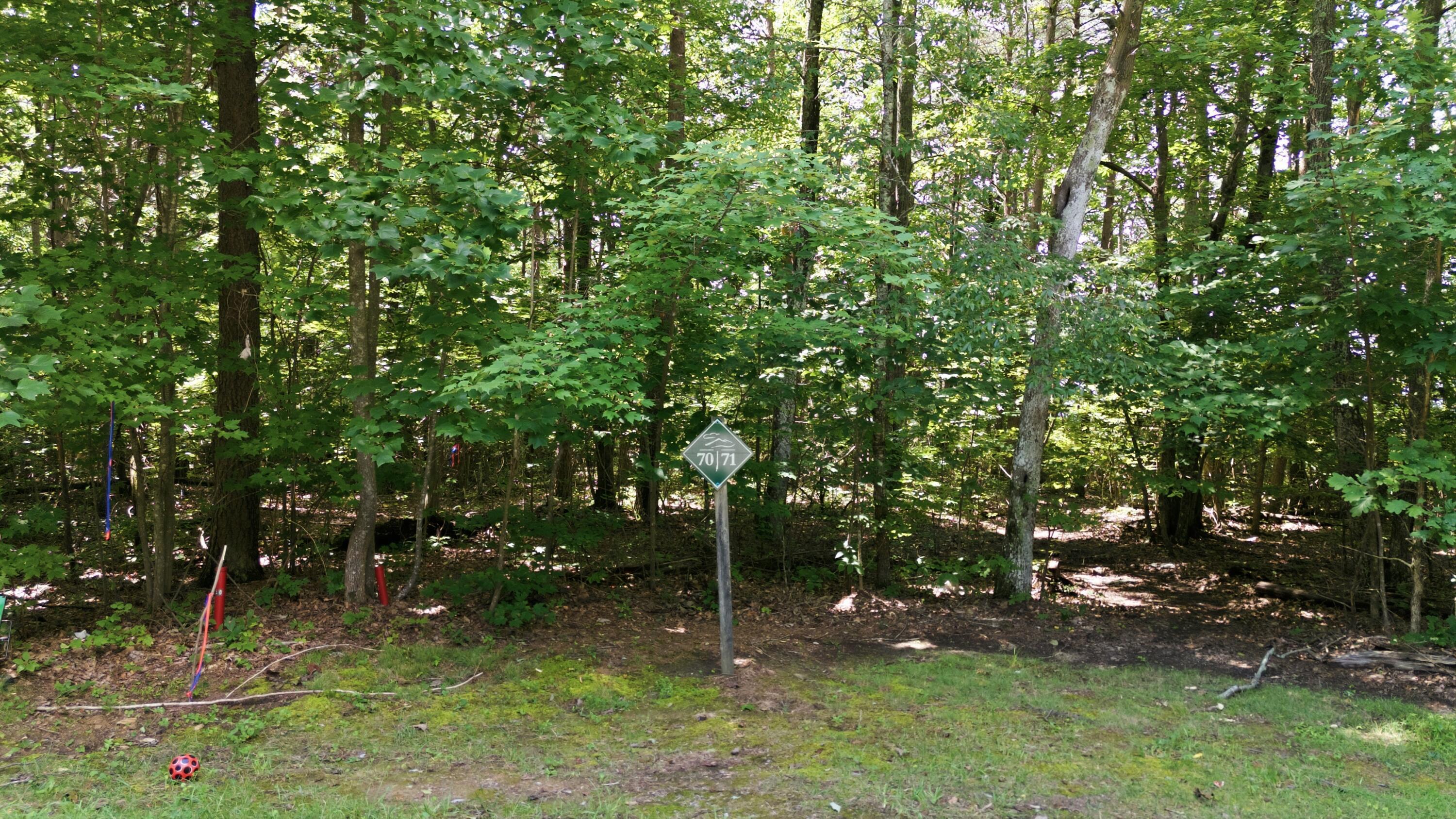 Image 2: DJI_20260716120142_0041_D