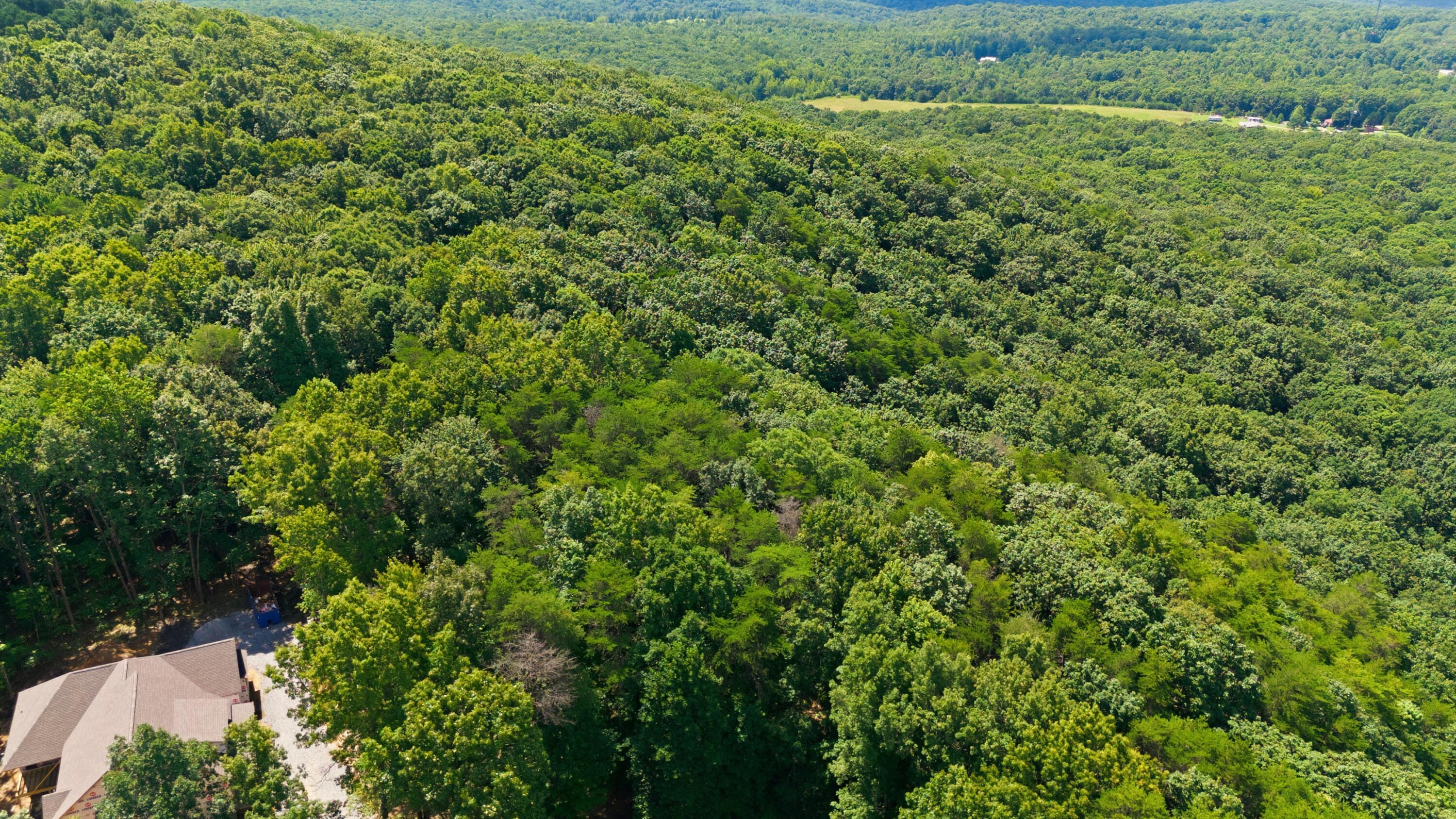 Image 4: DJI_20260716120228_0043_D