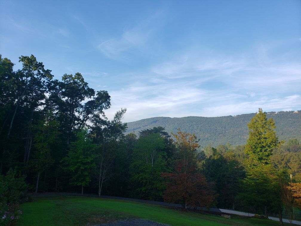 Image 2: Resized_20211014_084954