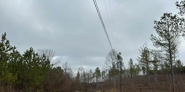 Image 3: Thomas Springs Lot 28 h