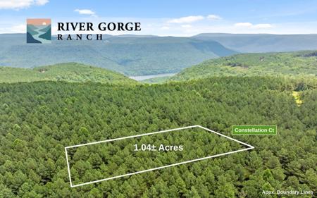 Lot 2045 Constellation Court