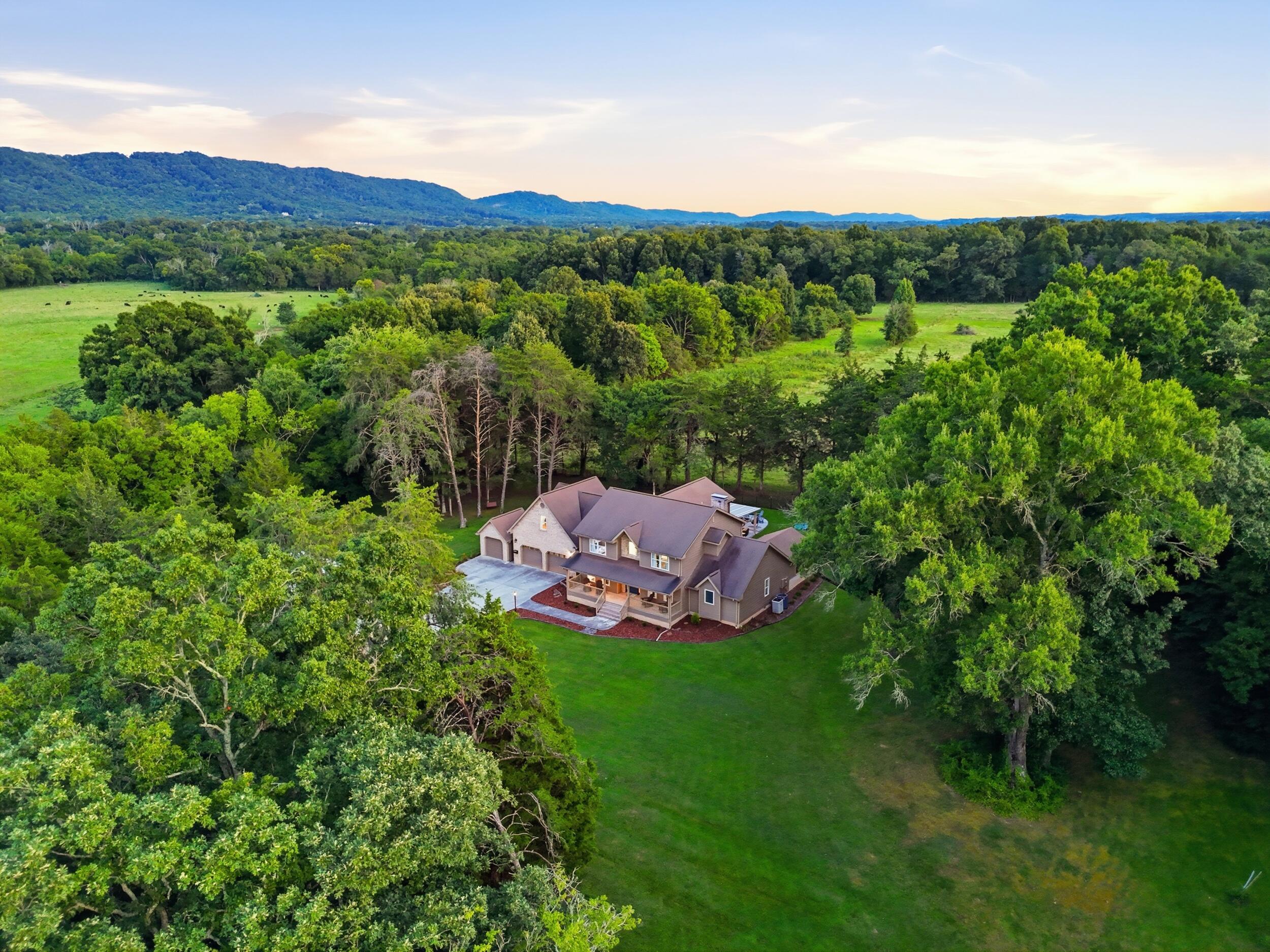 Image 4: 013_dji_20260717091134_0243_d