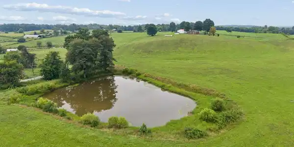 Image 3: 40_4431 Riggs Rd Drone 8