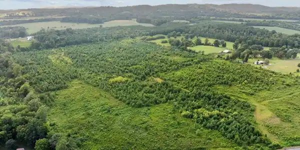 Image 4: 03-DJI_20260801184637_0638_D