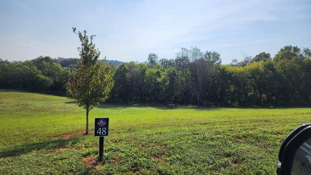 Image 1: Lot 48 (2)
