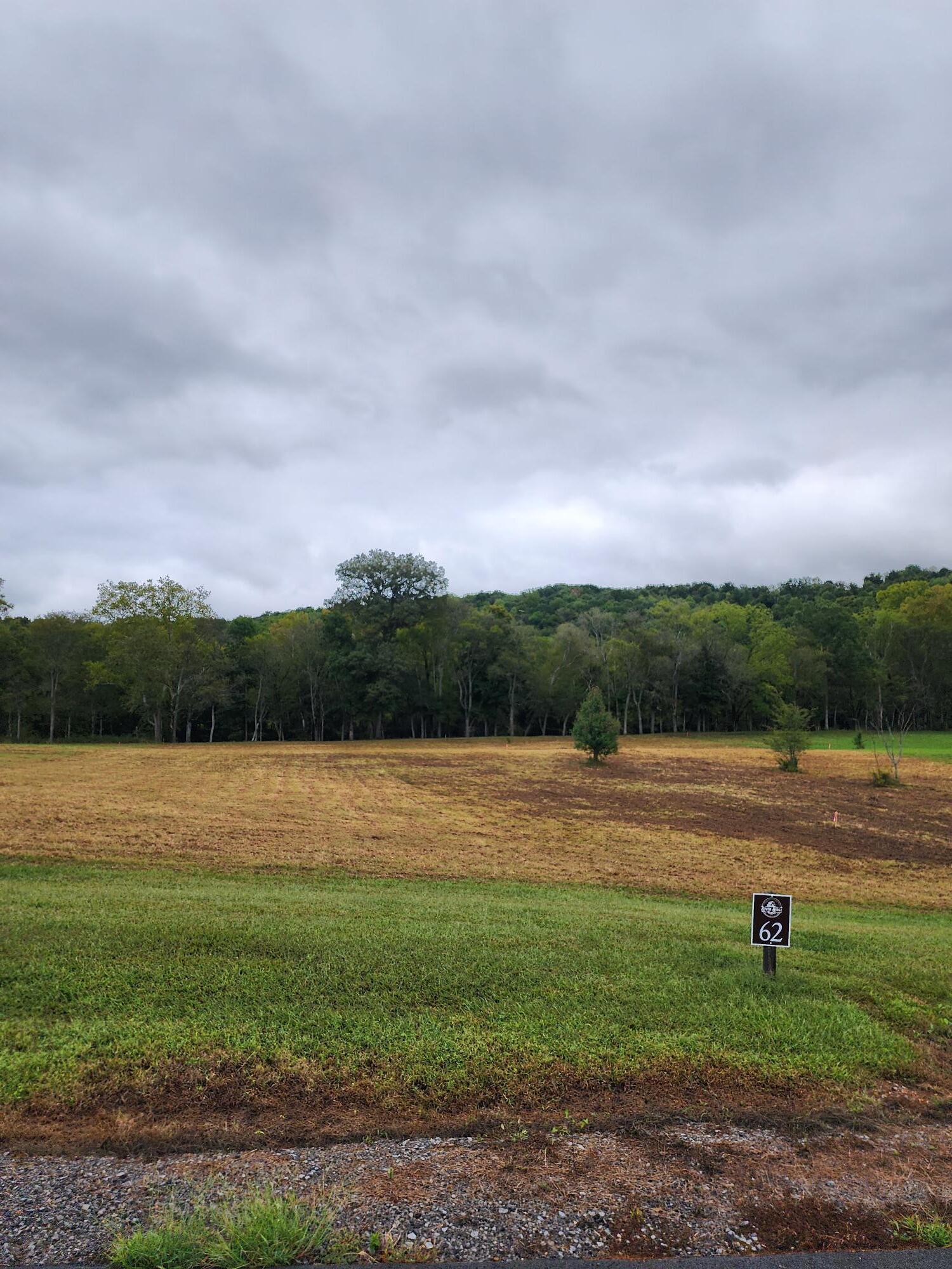 Image 1: Lot 62 (2)