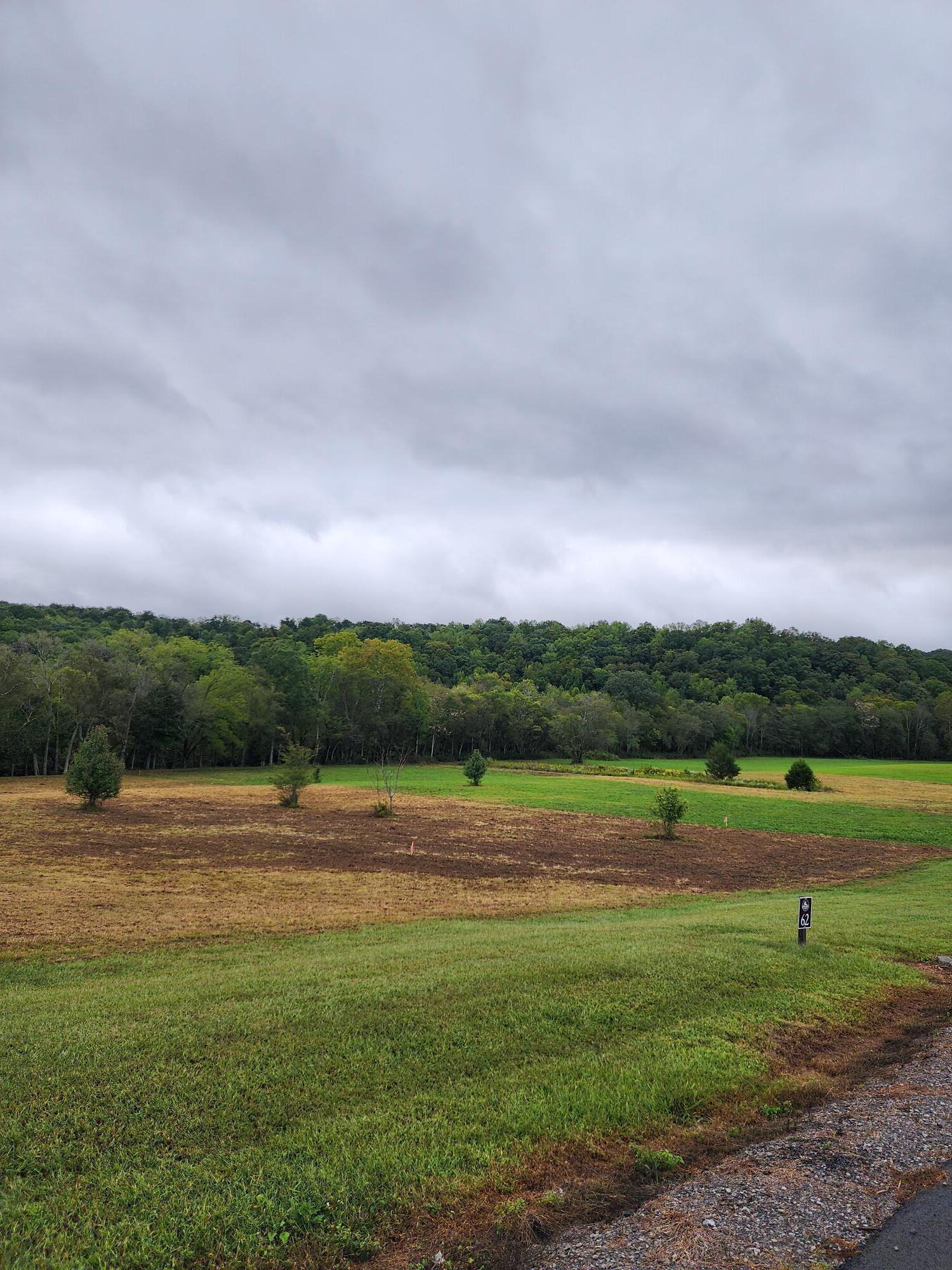 Image 2: Lot 62