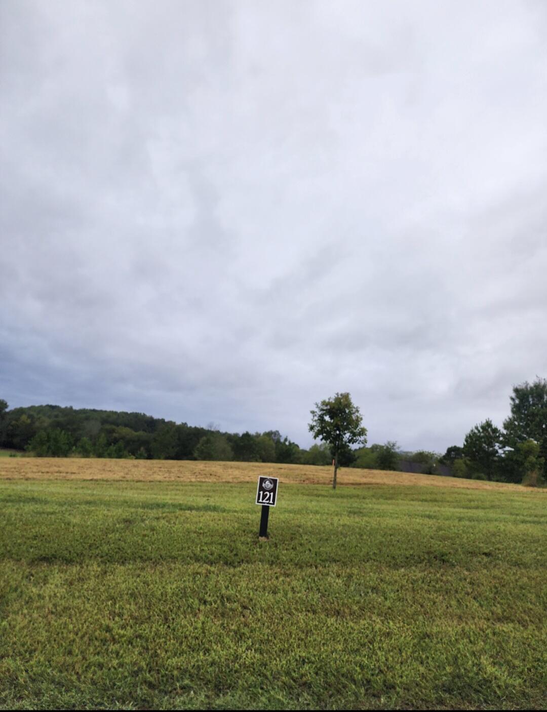 Image 1: Lot 121 (3)
