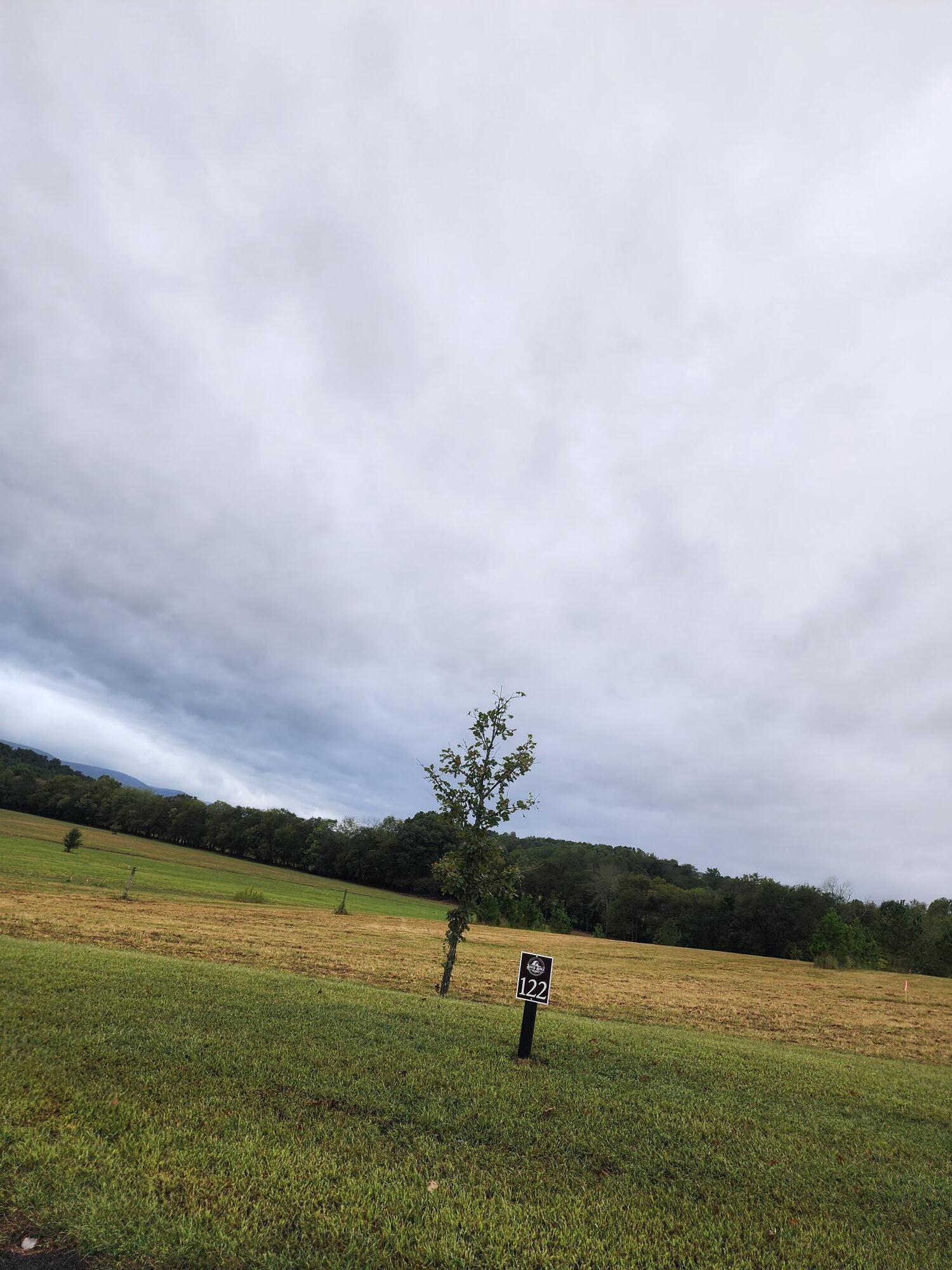 Image 1: Lot 122