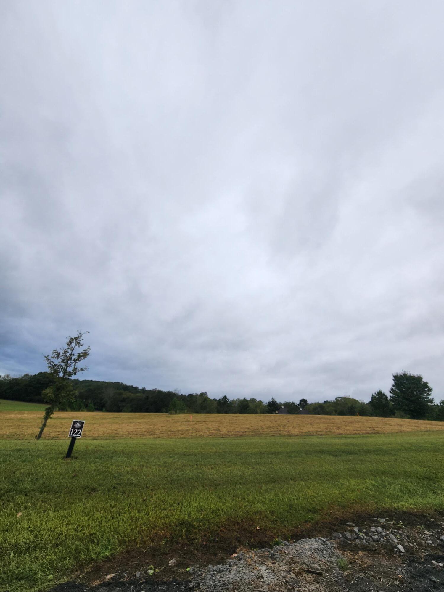 Image 2: Lot 122 (2)