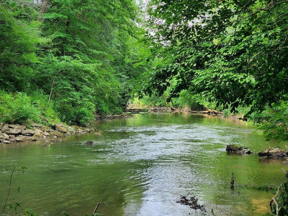 Image 4: 2 River