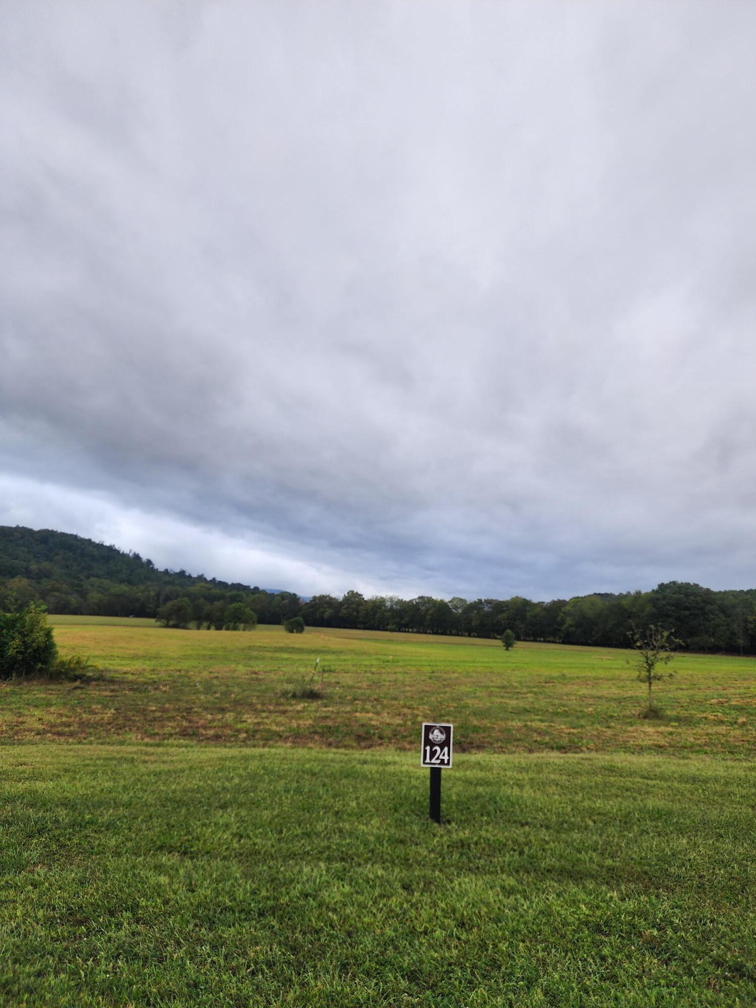 Image 1: Lot 124