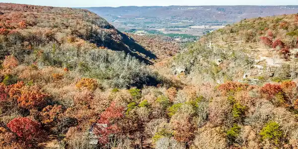 1401 Dale Trail