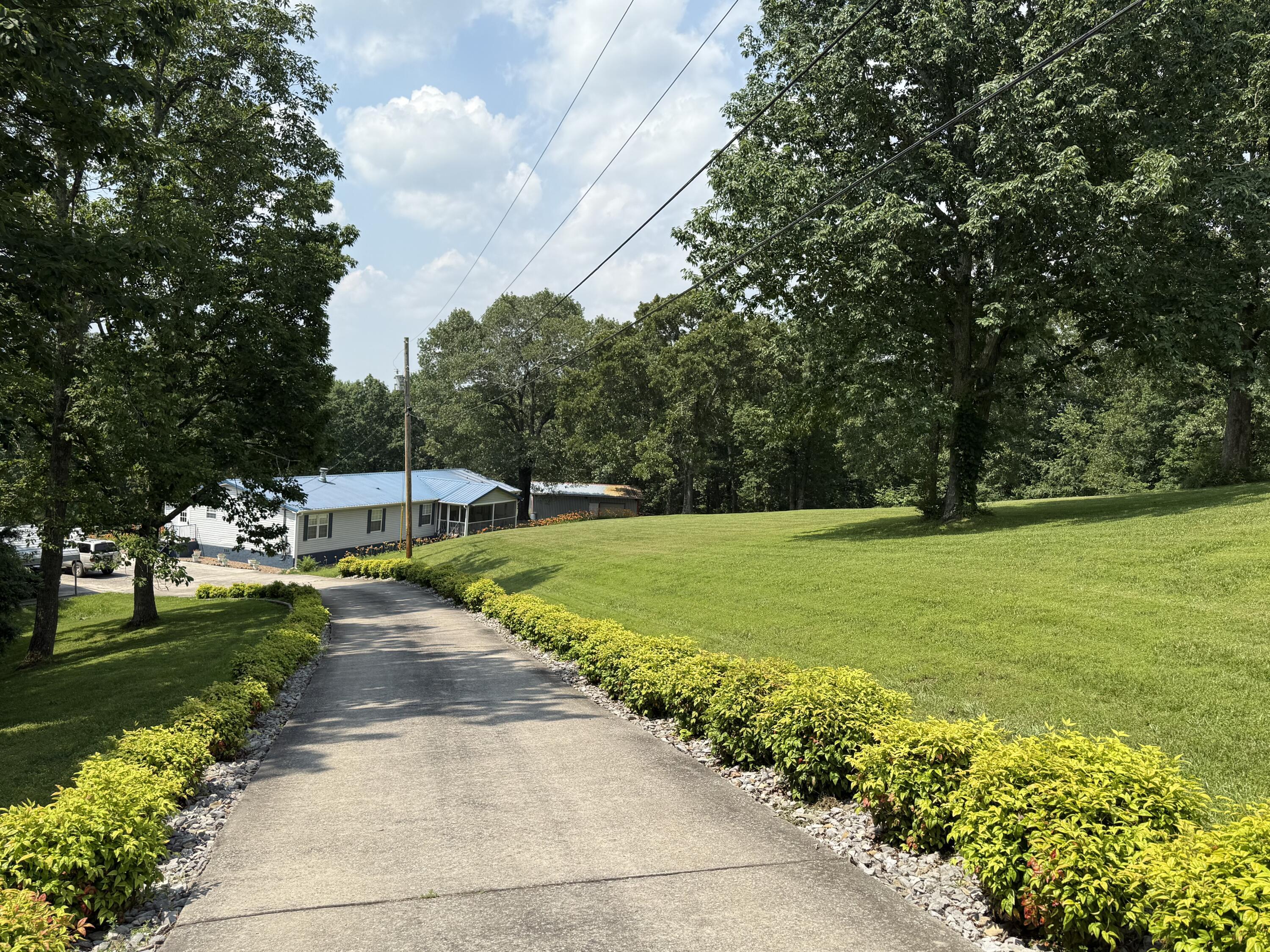 Image 4: Driveway